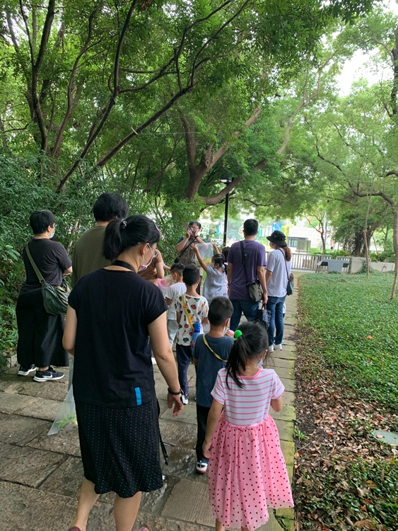 幼兒園：與植物作朋友(5/22)-圖片8