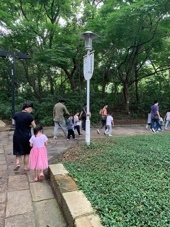 幼兒園：與植物作朋友(5/22)-圖片9