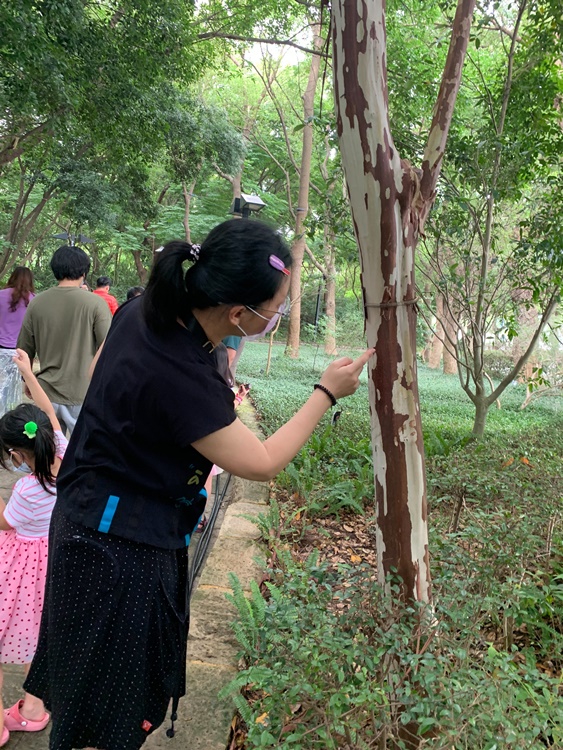 幼兒園：與植物作朋友(5/22)-圖片11