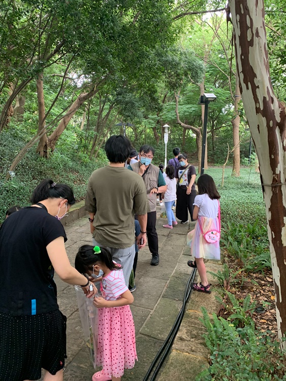 幼兒園：與植物作朋友(5/22)-圖片12