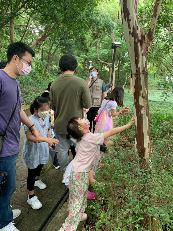 幼兒園：與植物作朋友(5/22)-圖片15