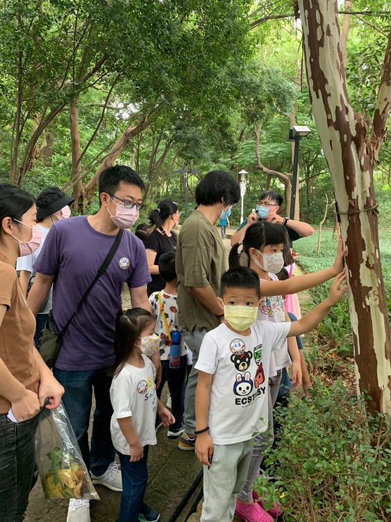 幼兒園：與植物作朋友(5/22)-圖片17