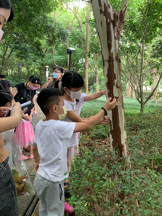 幼兒園：與植物作朋友(5/22)-圖片18