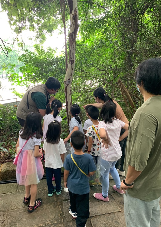 幼兒園：與植物作朋友(5/22)-圖片19