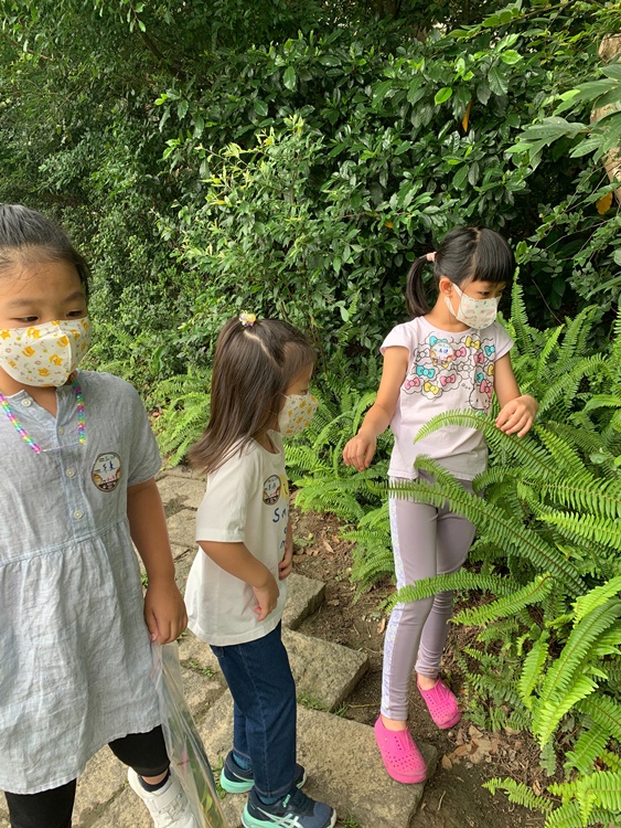 幼兒園：與植物作朋友(5/22)-圖片26
