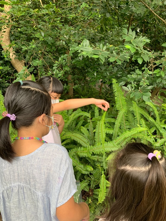 幼兒園：與植物作朋友(5/22)-圖片27