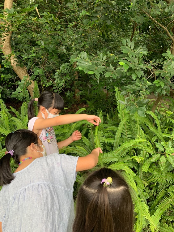 幼兒園：與植物作朋友(5/22)-圖片28
