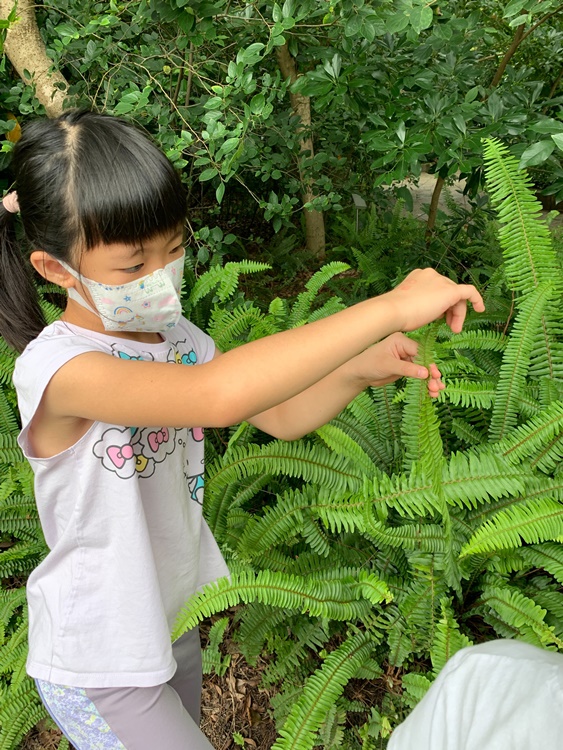 幼兒園：與植物作朋友(5/22)-圖片29