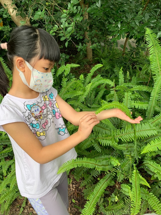 幼兒園：與植物作朋友(5/22)-圖片31