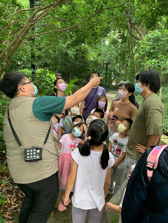 幼兒園：與植物作朋友(5/22)-圖片32