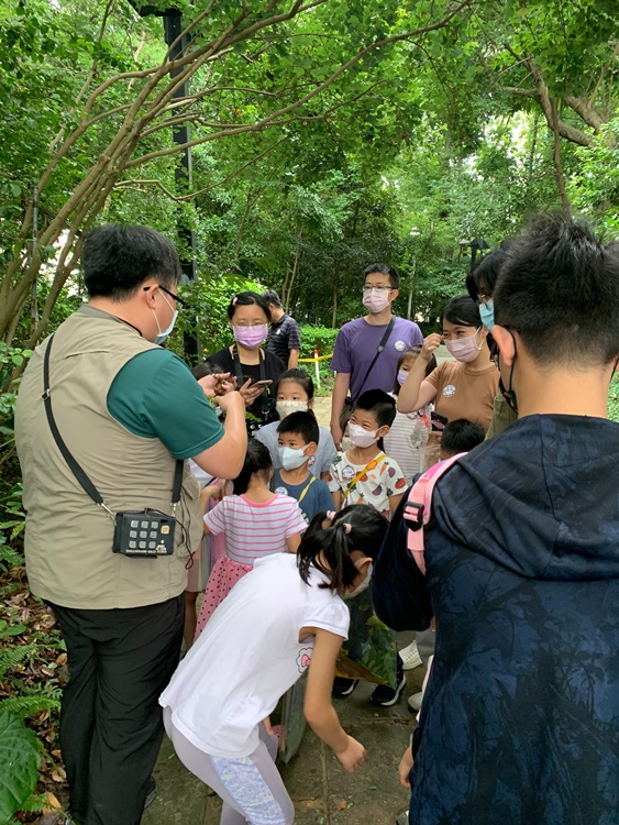 幼兒園：與植物作朋友(5/22)-圖片33