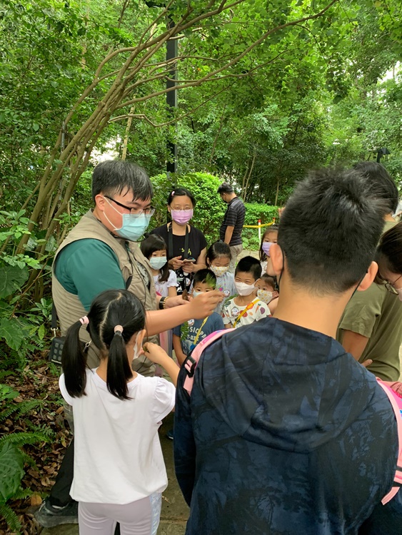 幼兒園：與植物作朋友(5/22)-圖片36