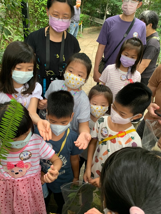 幼兒園：與植物作朋友(5/22)-圖片37