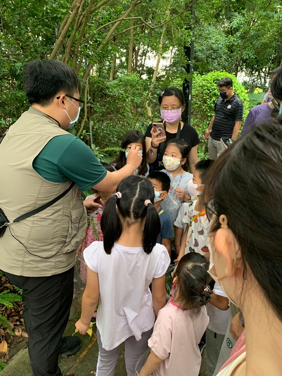 幼兒園：與植物作朋友(5/22)-圖片38