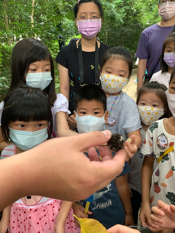 幼兒園：與植物作朋友(5/22)-圖片39