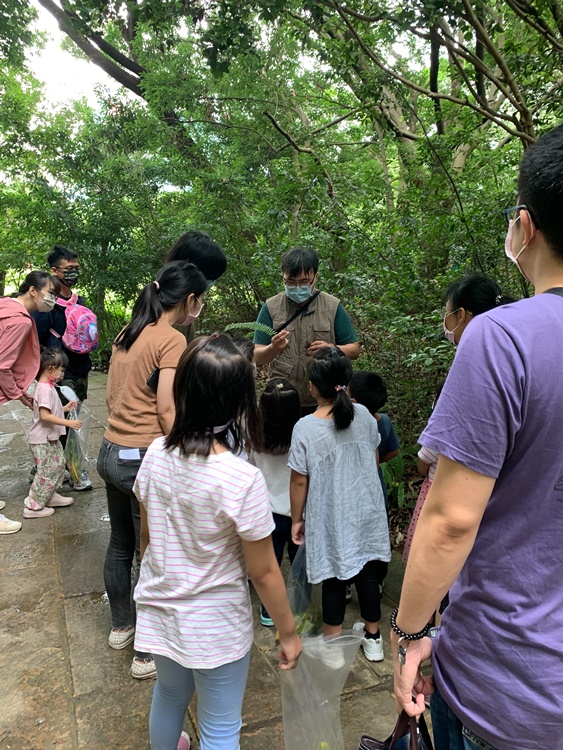 幼兒園：與植物作朋友(5/22)-圖片40