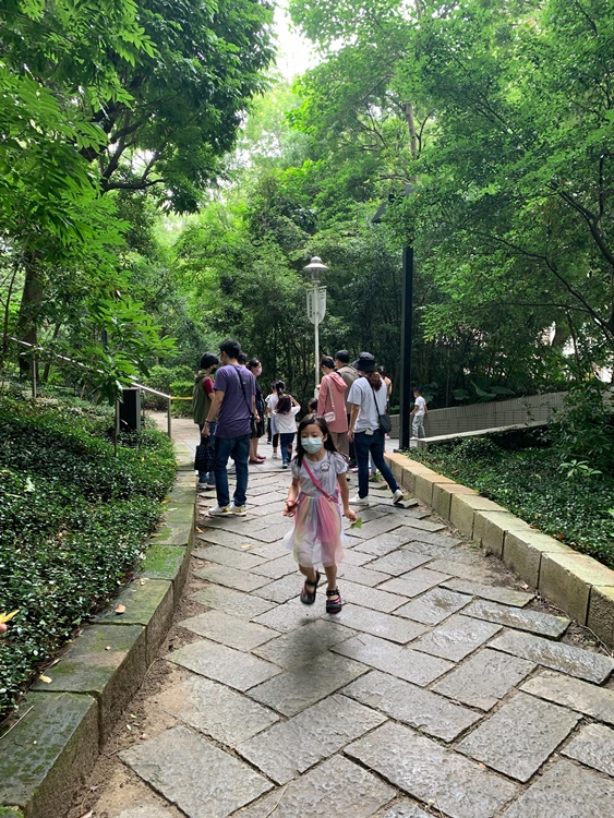 幼兒園：與植物作朋友(5/22)-圖片42