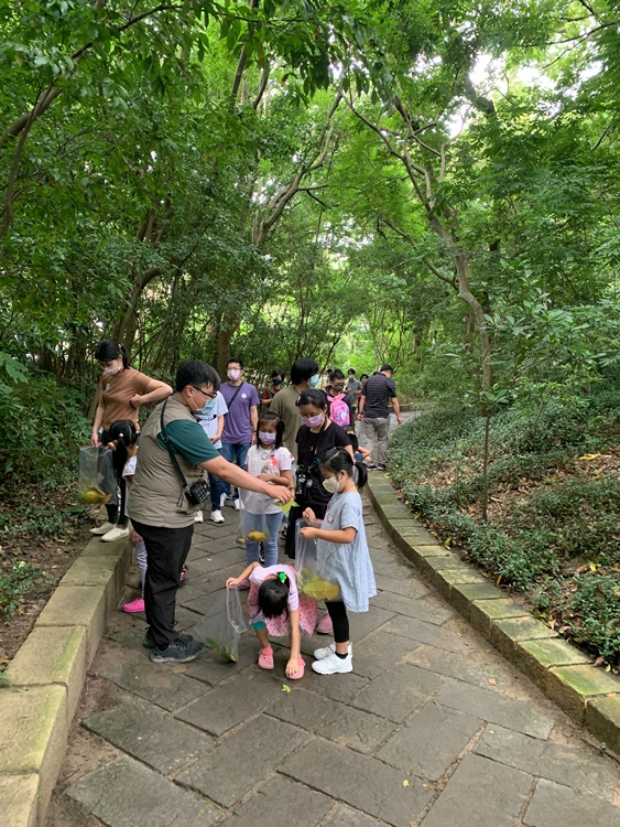 幼兒園：與植物作朋友(5/22)-圖片47