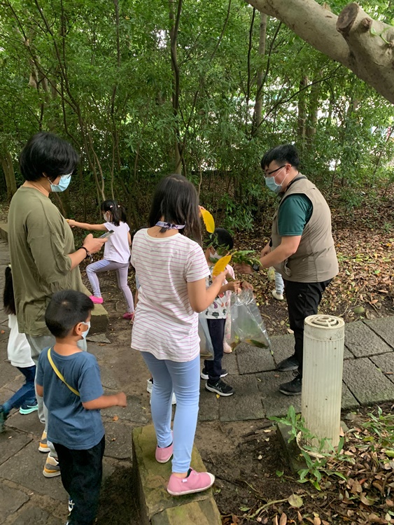 幼兒園：與植物作朋友(5/22)-圖片51