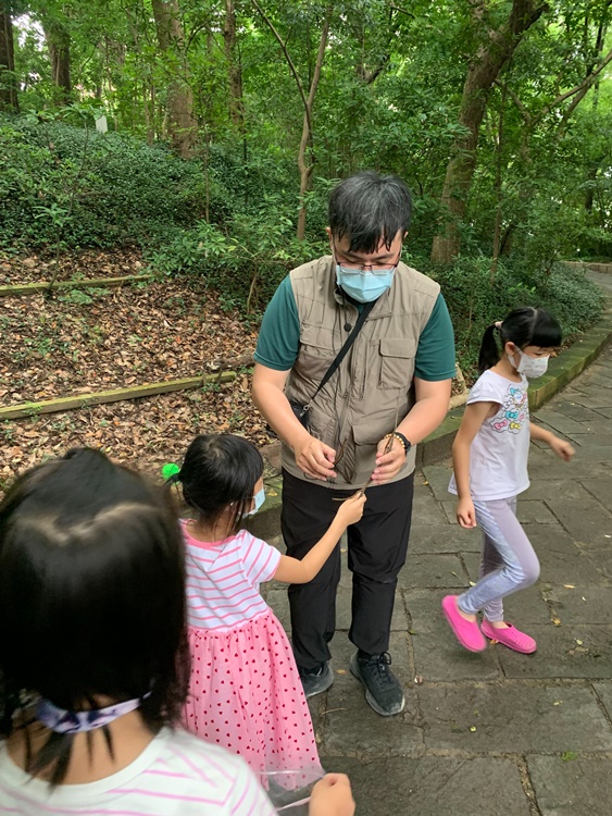 幼兒園：與植物作朋友(5/22)-圖片55