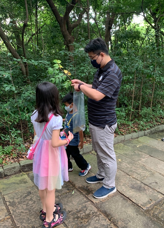 幼兒園：與植物作朋友(5/22)-圖片59