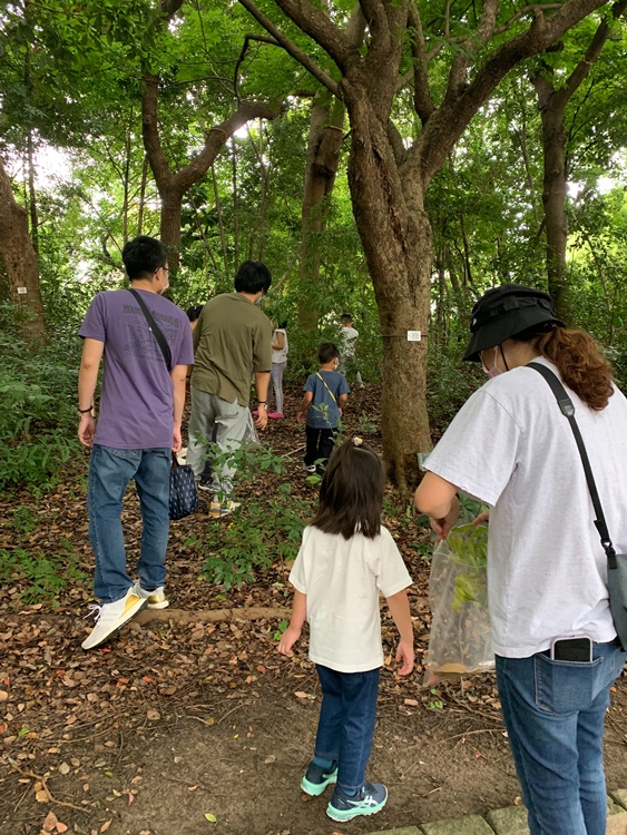 幼兒園：與植物作朋友(5/22)-圖片60