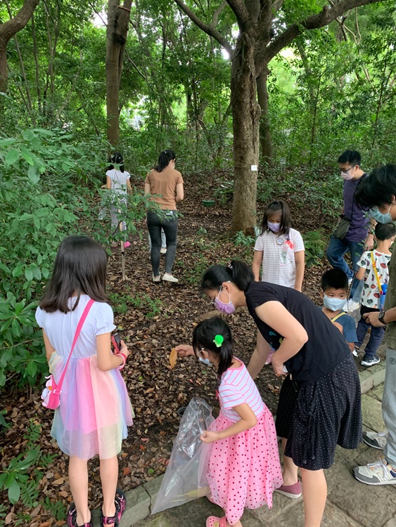 幼兒園：與植物作朋友(5/22)-圖片62
