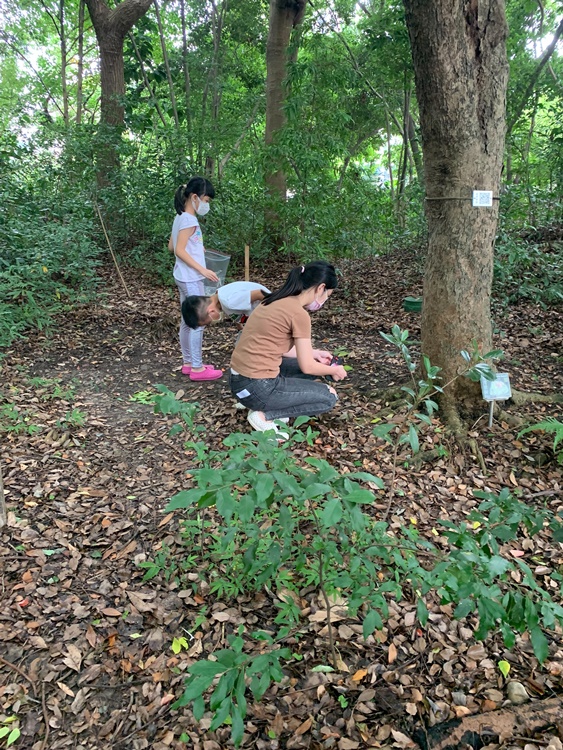 幼兒園：與植物作朋友(5/22)-圖片63