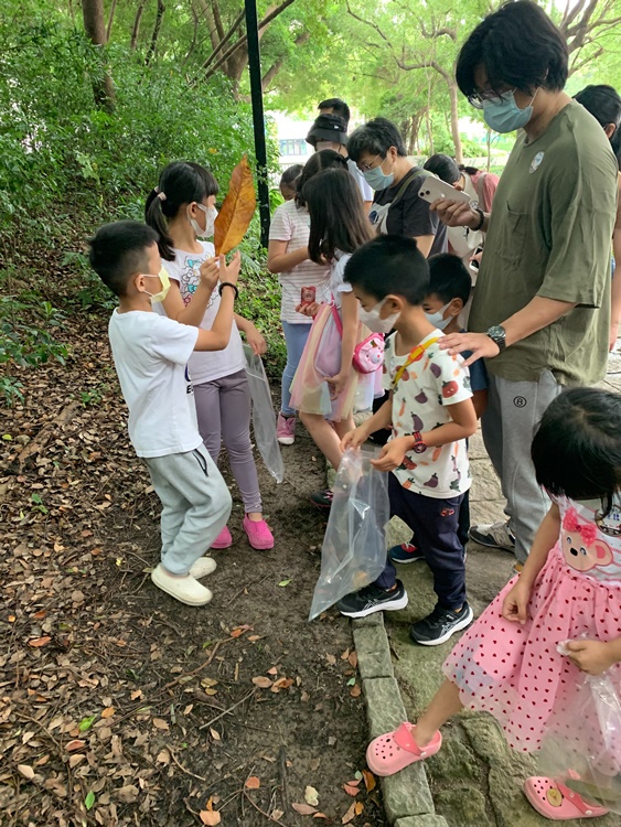 幼兒園：與植物作朋友(5/22)-圖片64