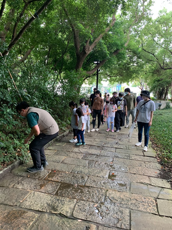幼兒園：與植物作朋友(5/22)-圖片65