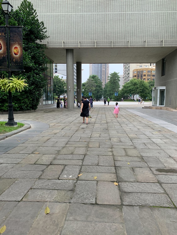 幼兒園：與植物作朋友(5/22)-圖片164