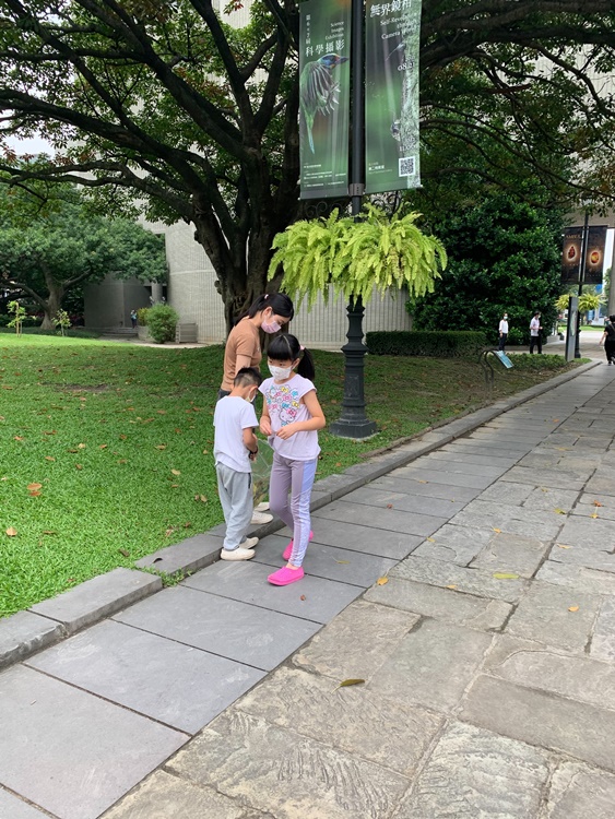 幼兒園：與植物作朋友(5/22)-圖片166