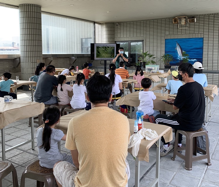 幼兒園：與植物作朋友(6/18)-圖片47
