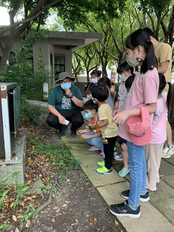 幼兒園：與植物作朋友(6/18)-圖片50