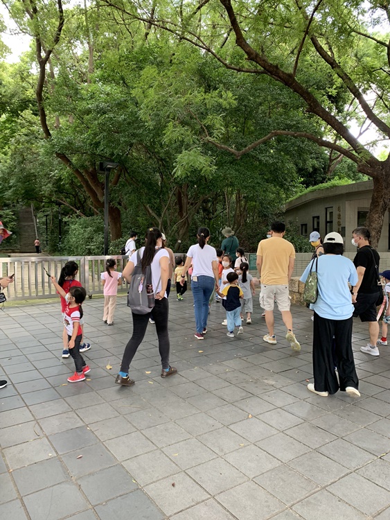 幼兒園：與植物作朋友(6/18)-圖片51