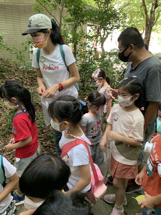 幼兒園：與植物作朋友(6/18)-圖片52