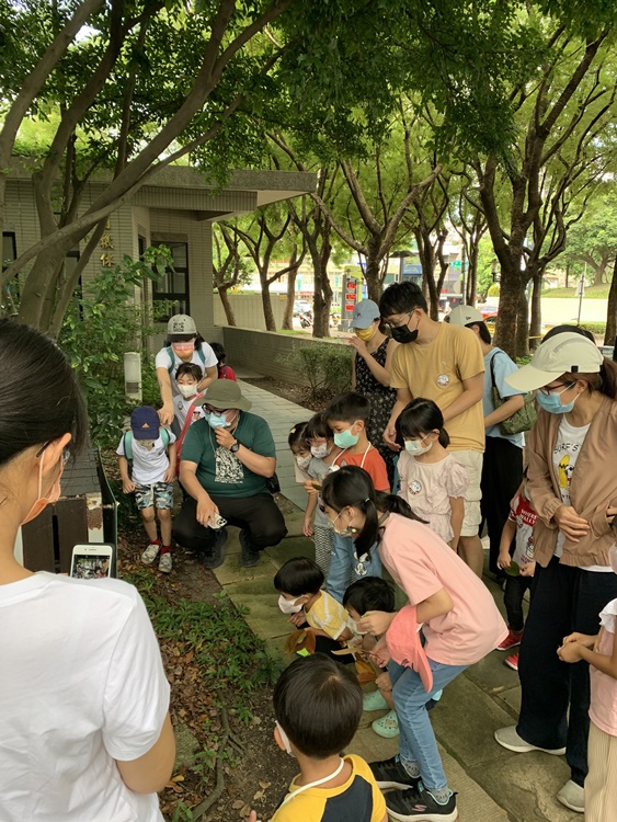 幼兒園：與植物作朋友(6/18)-圖片53