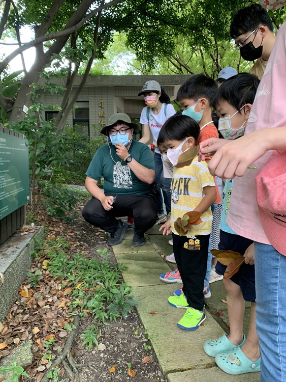 幼兒園：與植物作朋友(6/18)-圖片54