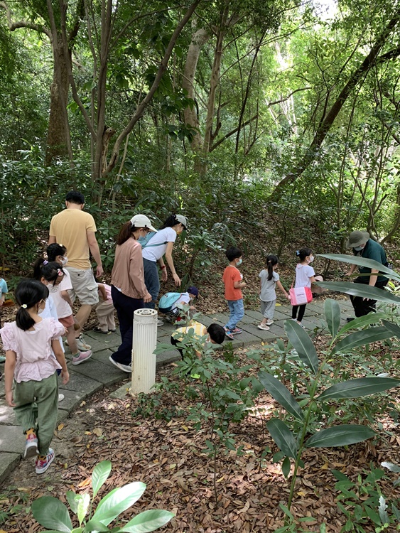 幼兒園：與植物作朋友(6/18)-圖片55