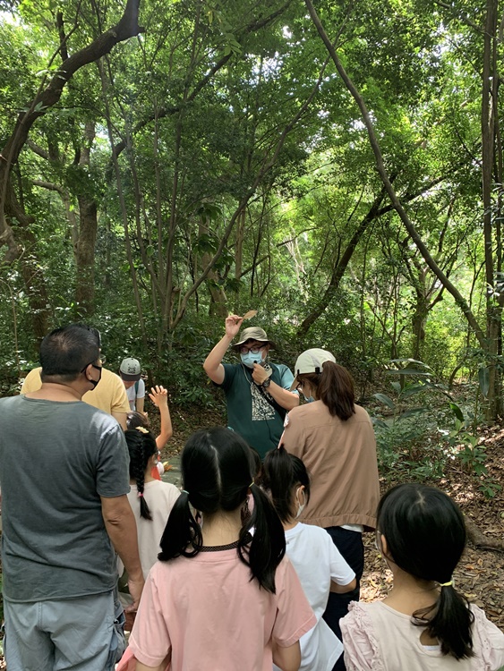 幼兒園：與植物作朋友(6/18)-圖片56