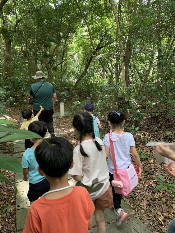幼兒園：與植物作朋友(6/18)-圖片57