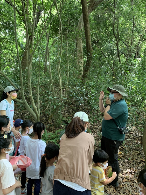 幼兒園：與植物作朋友(6/18)-圖片58