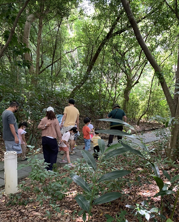 幼兒園：與植物作朋友(6/18)-圖片60