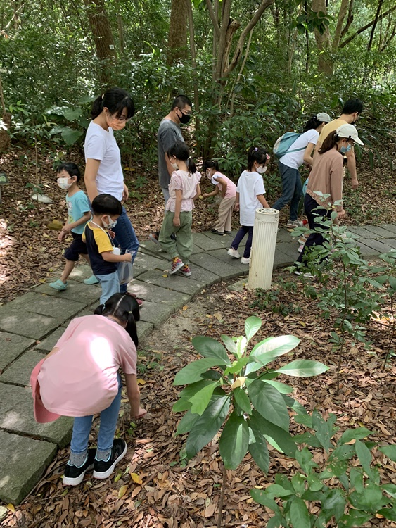 幼兒園：與植物作朋友(6/18)-圖片61