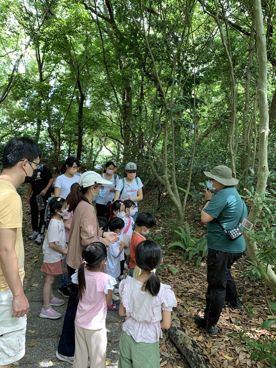 幼兒園：與植物作朋友(6/18)-圖片62