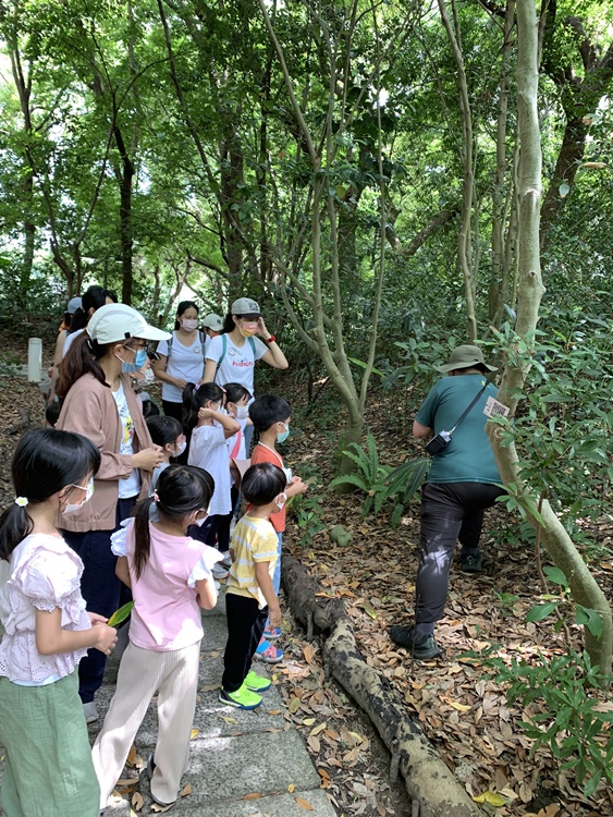 幼兒園：與植物作朋友(6/18)-圖片63