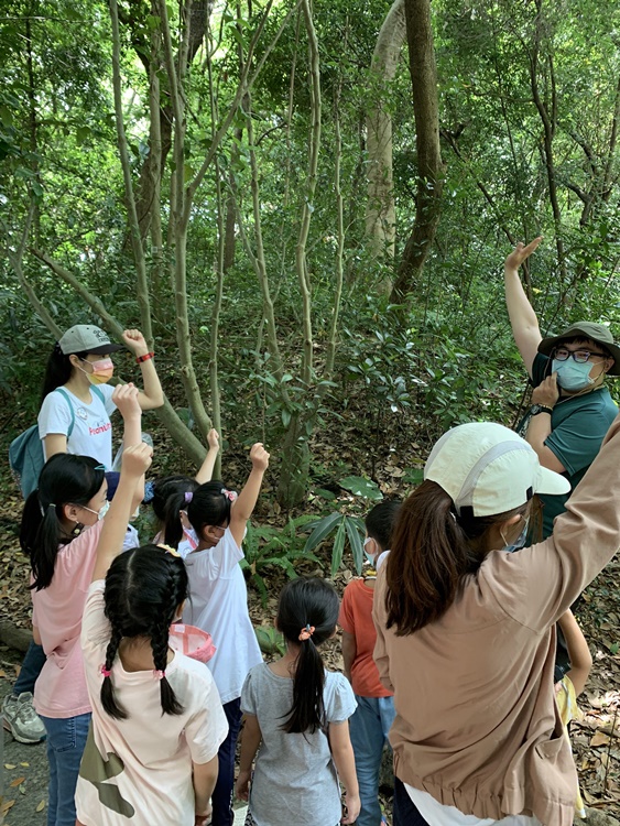 幼兒園：與植物作朋友(6/18)-圖片64