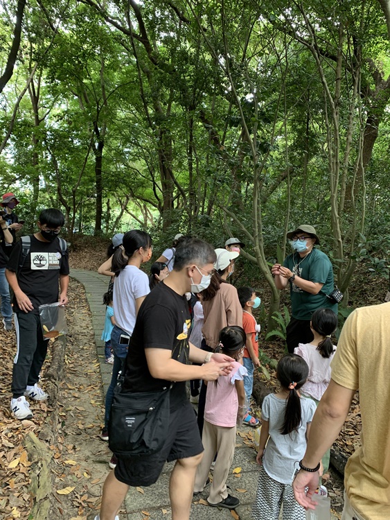 幼兒園：與植物作朋友(6/18)-圖片65