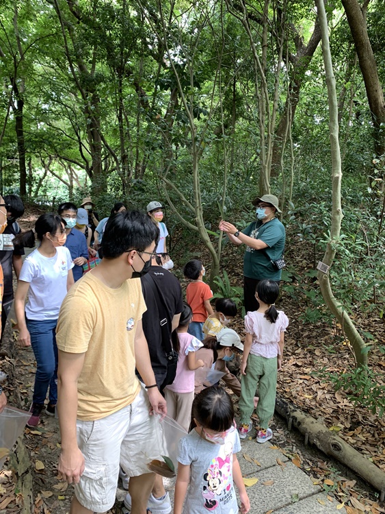 幼兒園：與植物作朋友(6/18)-圖片66