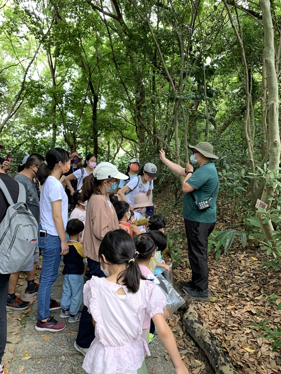 幼兒園：與植物作朋友(6/18)-圖片67